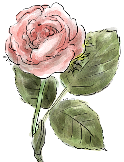 手描きの薔薇の絵